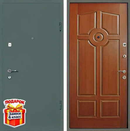 Металлическая порошковая дверь и МДФ со шпоном внутри