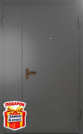 Металлическая полуторная техническая дверь с порошковым напылением